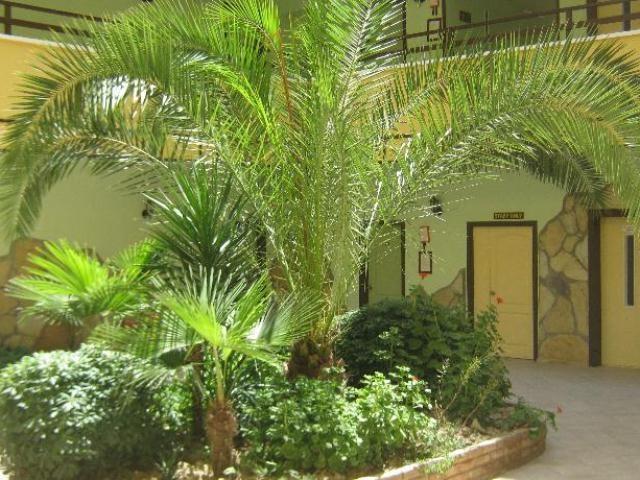 קוסדסי Oya Apartments מראה חיצוני תמונה